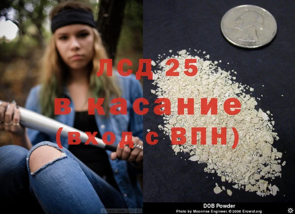 твердый Богданович