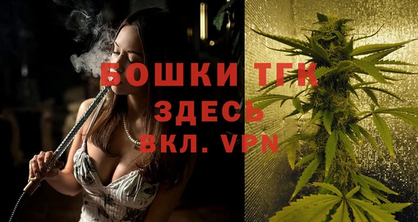 твердый Богданович