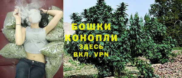 твердый Богданович