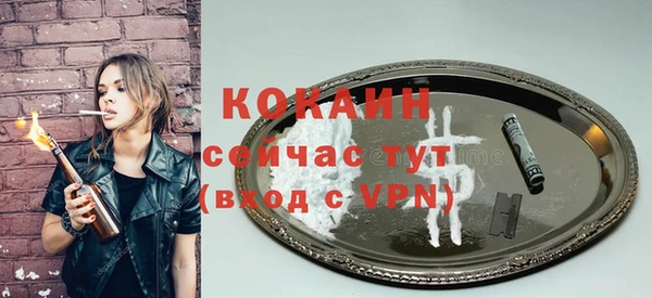 твердый Богданович