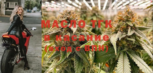 твердый Богданович