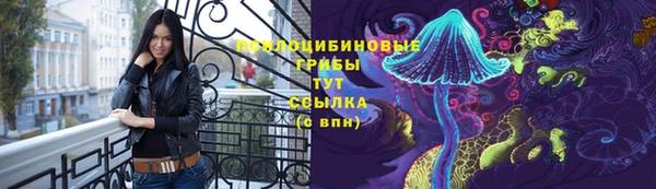 твердый Богданович
