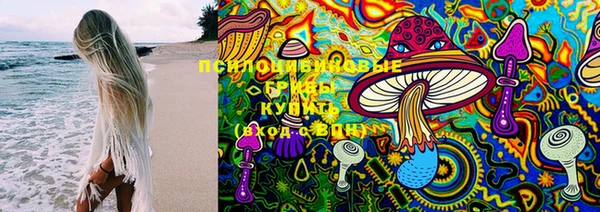 твердый Богданович