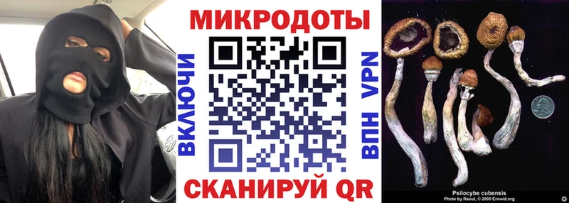 Псилоцибиновые грибы GOLDEN TEACHER  Купить где  Мензелинск 