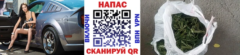 Бошки марихуана THC 21%  Купить закладки  Мензелинск 